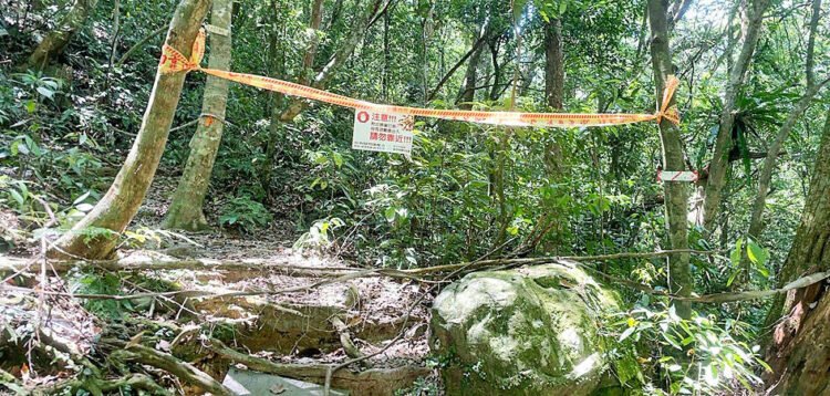 Hornet hotspots mapped in New Taipei