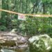 Hornet hotspots mapped in New Taipei