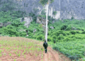 Vientiane Times
