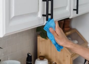 What meaning does each color have in kitchen rags? know the function of each one