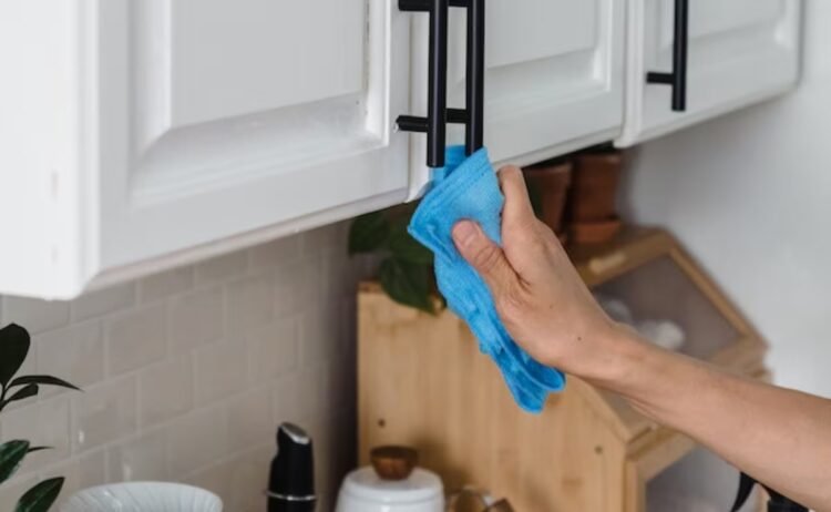 What meaning does each color have in kitchen rags? know the function of each one