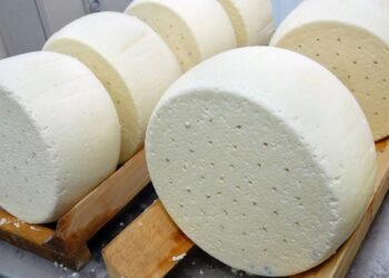 It was found that dangerous food is produced. The production of “Aroma del Vino” cheese has been suspended. SATM