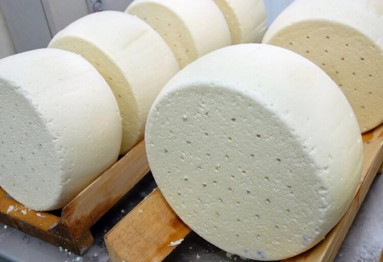 It was found that dangerous food is produced. The production of “Aroma del Vino” cheese has been suspended. SATM
