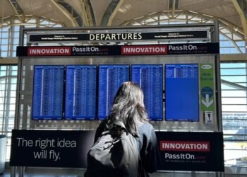 Self-deportation from the United States: who, how and why?