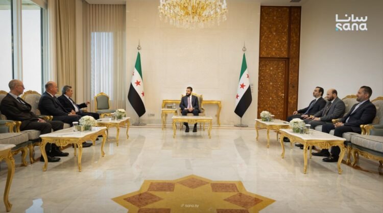 President al-Sharaa discusses energy cooperation with international companies