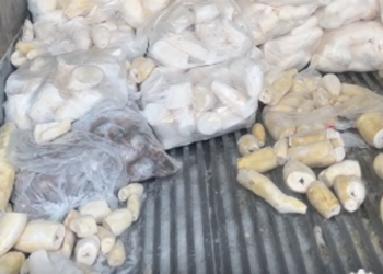 Tongan produce shipment spoils in US, sparks sympathy, raises handling questions