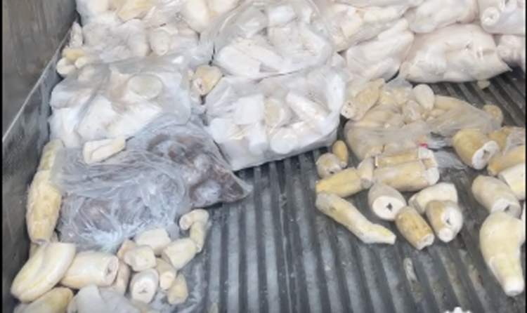Tongan produce shipment spoils in US, sparks sympathy, raises handling questions