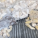 Tongan produce shipment spoils in US, sparks sympathy, raises handling questions