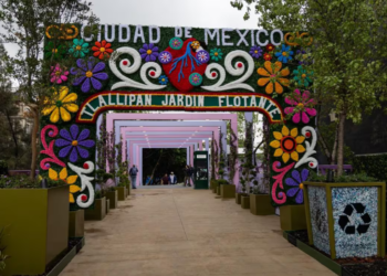 PHOTOS: This is what the Tlalpan Floating Garden looks like; between new green areas and unfinished works