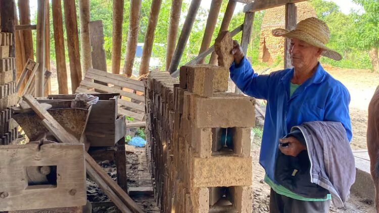 With work in the oil mill, she raised 10 children – National
