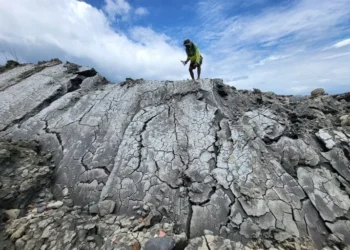 Trinidad Coastline raised 20 feet after Venezuela Earthquakes