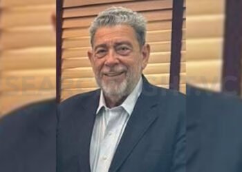 NDP behaves as though PS appointments are immense achievements – Gonsalves