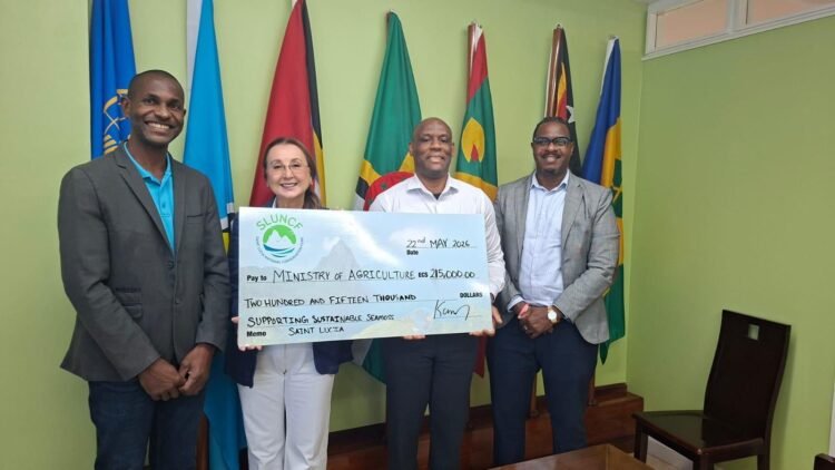 $215 000 project to clean Savannes Bay, support seamoss farmers