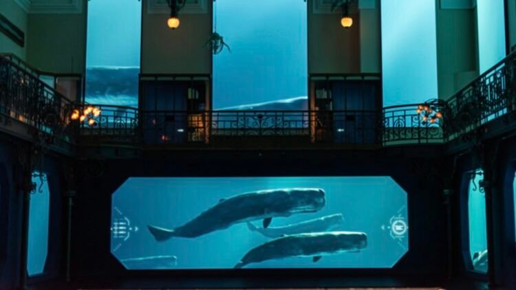 Monaco Oceanographic Museum wins international award for immersive ocean experience – NEWS.MC
