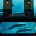 Monaco Oceanographic Museum wins international award for immersive ocean experience – NEWS.MC