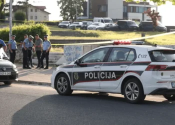 Due to the shooting in Vrace, Sergej Furtula was also arrested, and he is being treated in the hospital