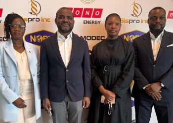 Guyanese group teams up with Nigerian oil company