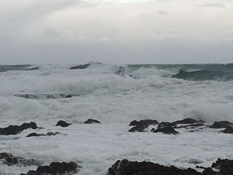 Cook Strait ferry sailings cancelled, residents told to stay off beaches as swells up to 10.5m forecast in Wellington