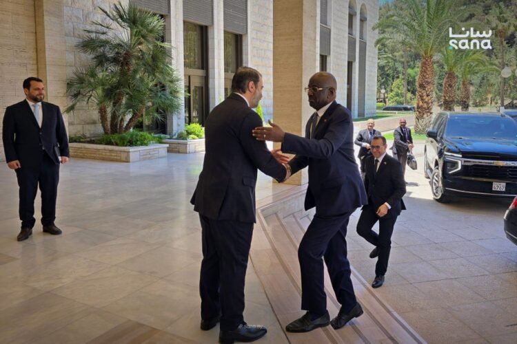 Syrian Foreign Minister receives Mauritanian counterpart in Damascus