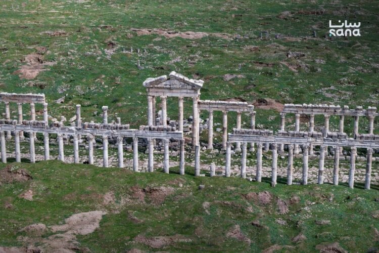 Syria’s Apamea returns to spotlight with ISESCO heritage listing