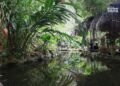 Syria’s coastal Tropical Forest offers visitors a taste of the tropics
