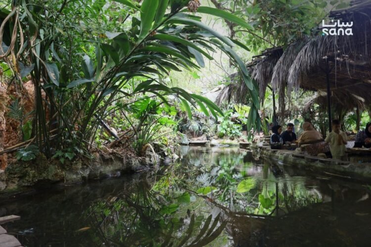 Syria’s coastal Tropical Forest offers visitors a taste of the tropics