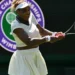 Serena Williams at Wimbledon: How the tennis world reacts to her comeback – DiePresse.com
