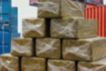 Trinidad: Million dollar drug bust at customs bond