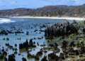 The Tiny Island That Became Rich Overnight From Bird Poop | Viral News