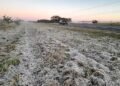 Meteorology announces frosts: When do they arrive and what days will be the most critical? – Climate