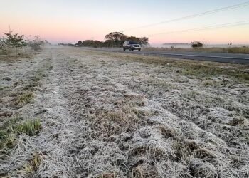 Meteorology announces frosts: When do they arrive and what days will be the most critical? – Climate