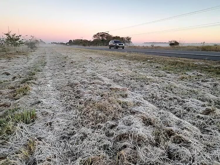 Meteorology announces frosts: When do they arrive and what days will be the most critical? – Climate