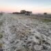 Meteorology announces frosts: When do they arrive and what days will be the most critical? – Climate