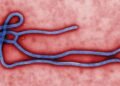 Saint Lucia updates Ebola preparedness plan as Caribbean strengthens border screening