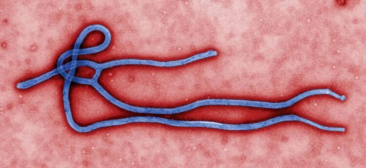Saint Lucia updates Ebola preparedness plan as Caribbean strengthens border screening