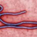 Saint Lucia updates Ebola preparedness plan as Caribbean strengthens border screening