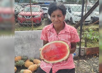 People | Monika’s fight for survival: Roadside fruit seller turns hardship into hope