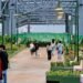 Incomplete garden work inaugurated in Tlalpan