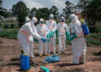 WHO: Ebola risk remains low ahead of the Football World Cup