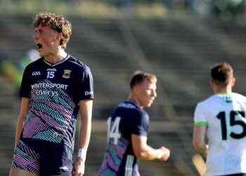 Kobe McDonald leads Mayo second-half revival to see out Meath – The Irish Times