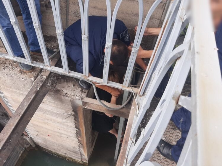 A citizen who fell into a canal in Chirchik was rescued