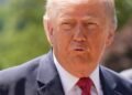 Trump’s failed plunder of the US state coffers shows how far he’s willing to sink – The Irish Times