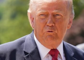 Trump’s failed plunder of the US state coffers shows how far he’s willing to sink – The Irish Times