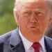Trump’s failed plunder of the US state coffers shows how far he’s willing to sink – The Irish Times