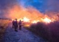 Grass fires to spread faster as heat, winds intensify, fire chief warns