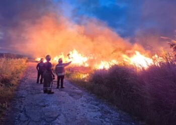 Grass fires to spread faster as heat, winds intensify, fire chief warns