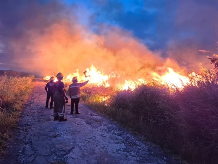 Grass fires to spread faster as heat, winds intensify, fire chief warns