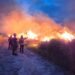 Grass fires to spread faster as heat, winds intensify, fire chief warns
