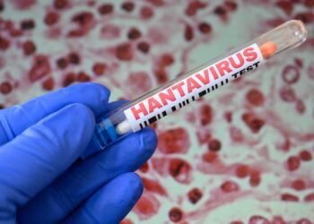 Scientist warns of possible climate link to hantavirus outbreaks