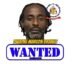 Wanted bulletin issued for man in serious crime probe